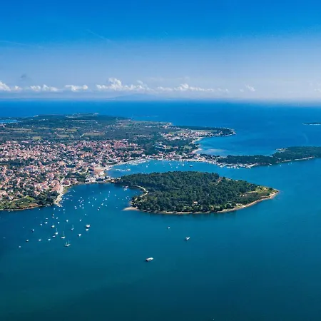 Apartment Perkovic-1 By Interhome Medulin