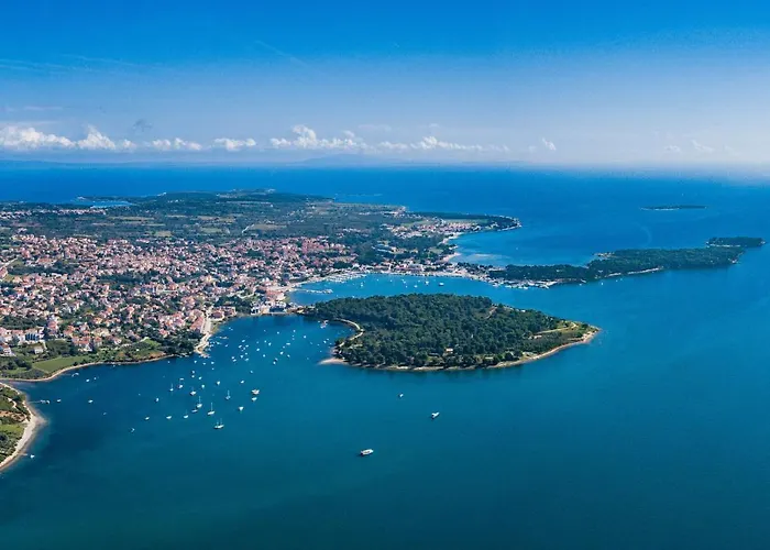 Apartman Perkovic-1 By Interhome Medulin